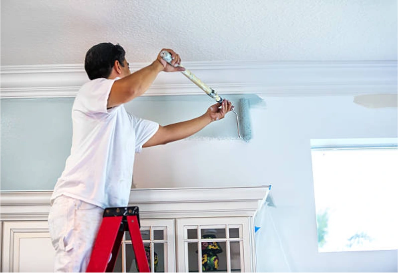 Professional interior wall painting service